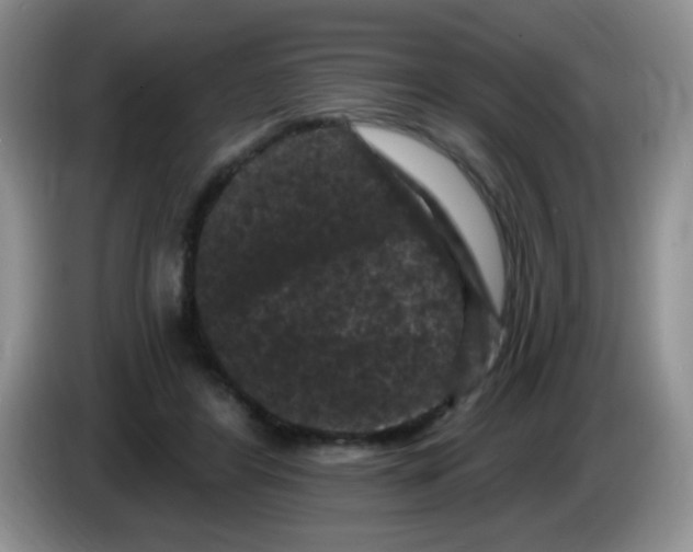 X0000084050404200703092056