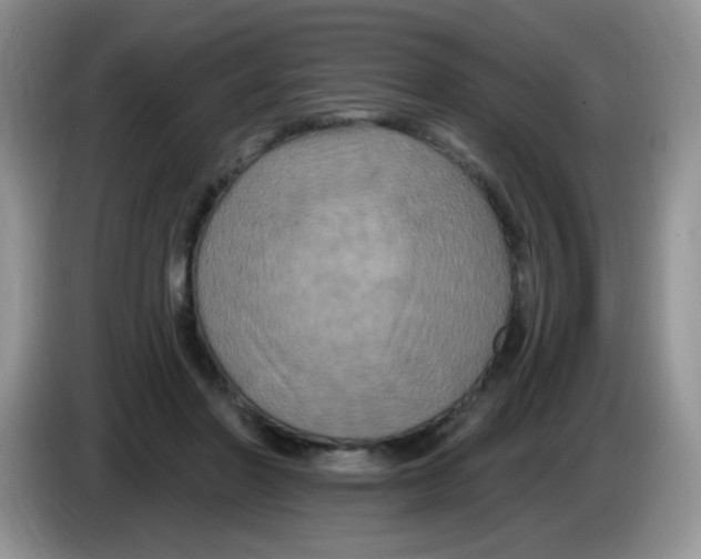 X0000084050406200703092056