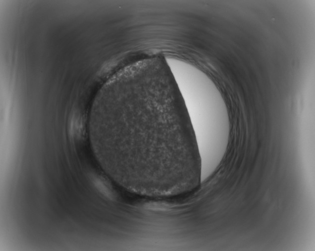 X0000084050408200703092056