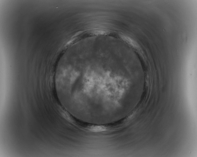 X0000084050409200703092056