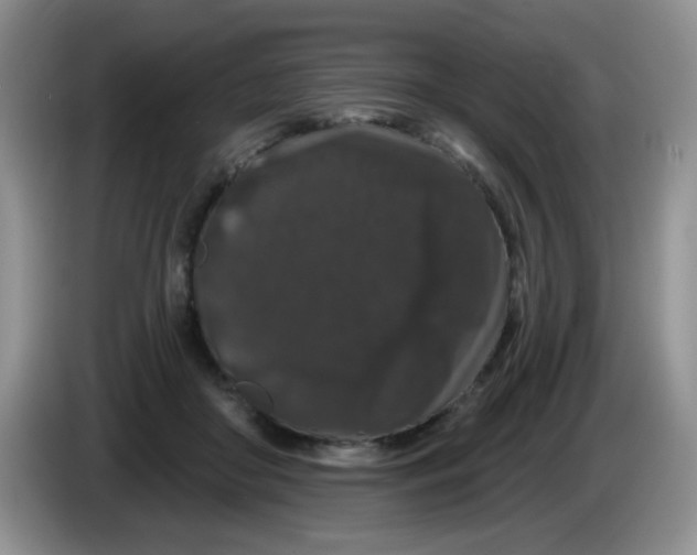 X0000084050410200703092056