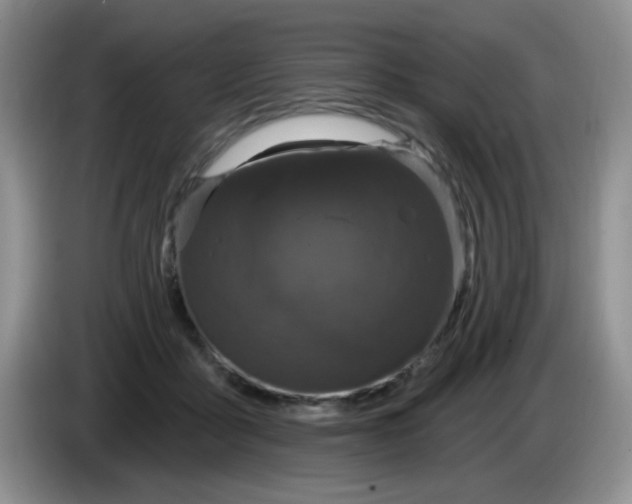 X0000084050411200703092056