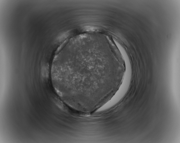 X0000084050413200703092056