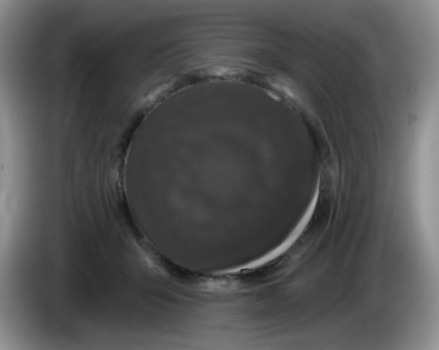 X0000084050415200703092056