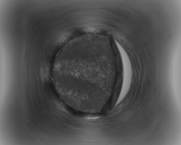 X0000084050416200703092056