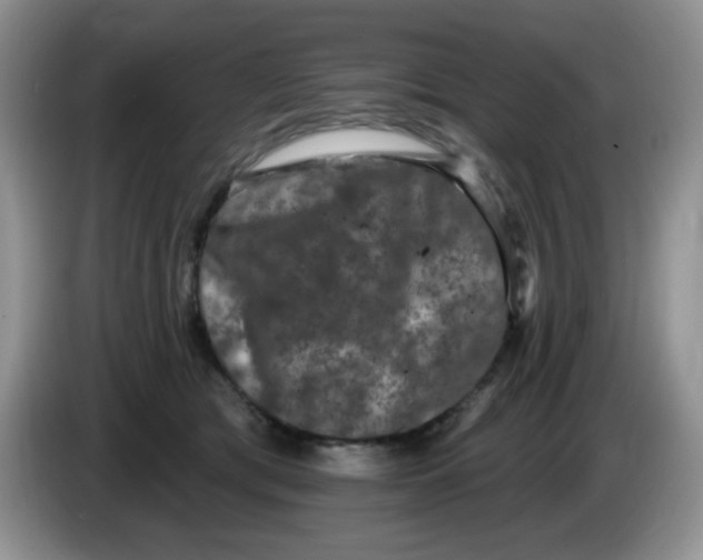 X0000084050417200703092056