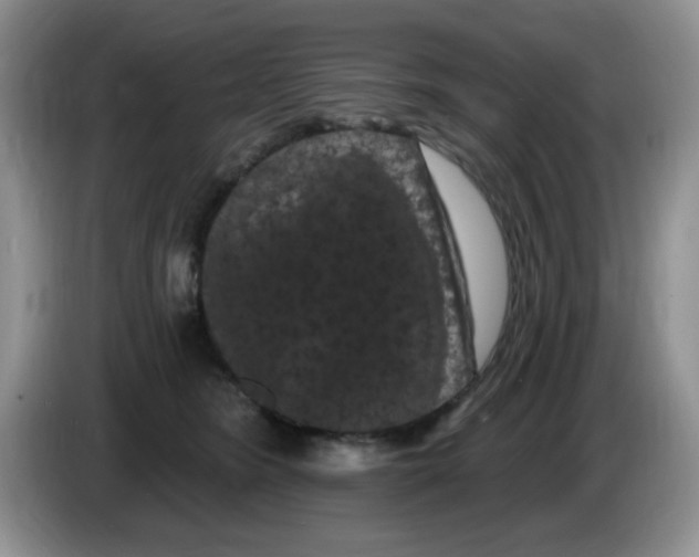 X0000084050420200703092056