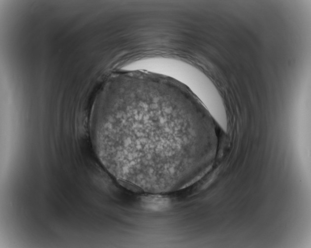 X0000084050421200703092056