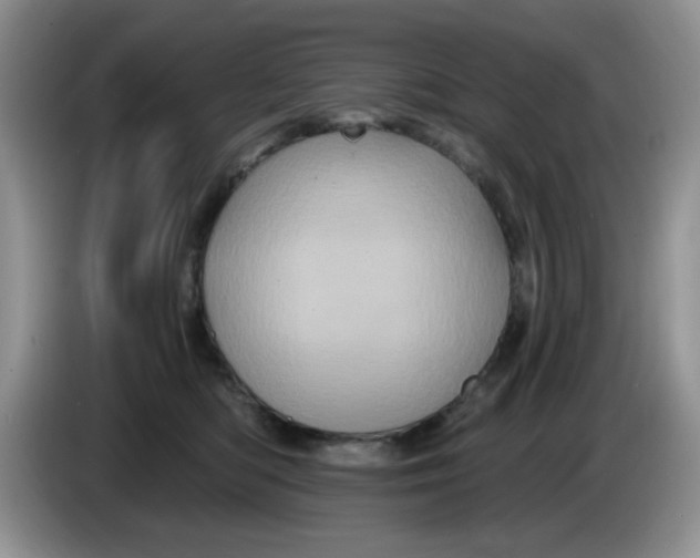 X0000084050422200703092056