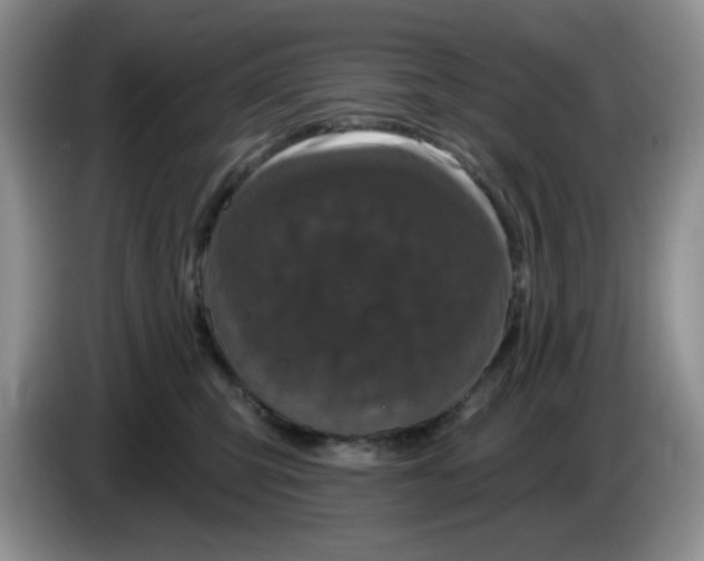 X0000084050423200703092056