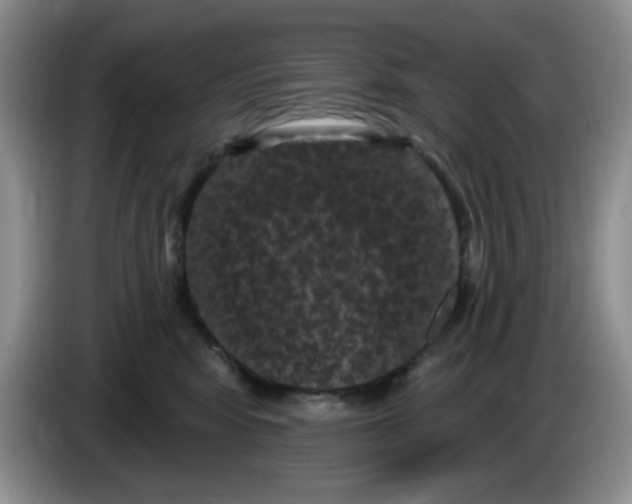 X0000084050424200703092056