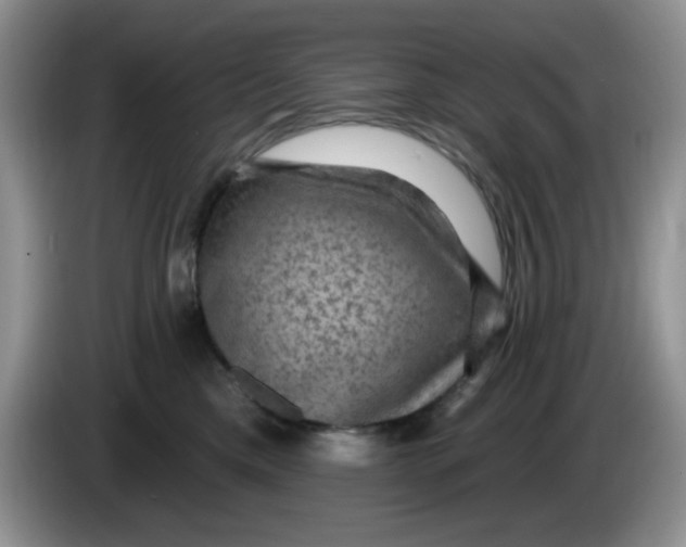 X0000084050425200703092056