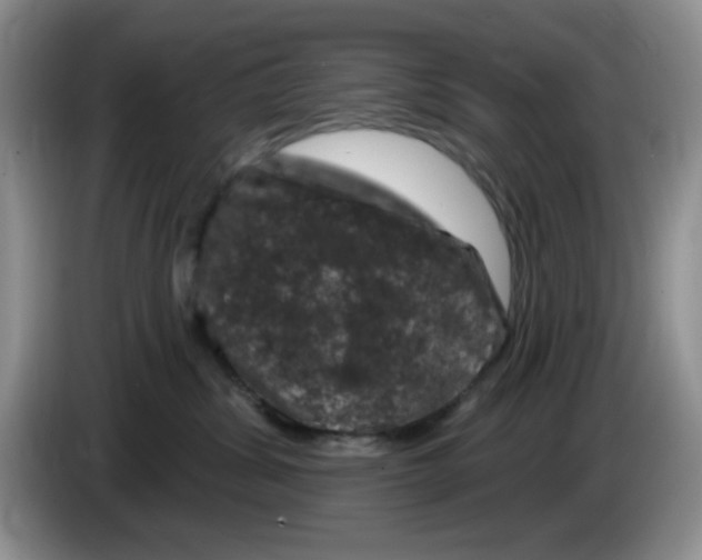 X0000084050428200703092056