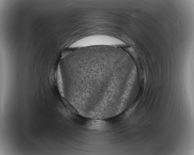 X0000084050429200703092056