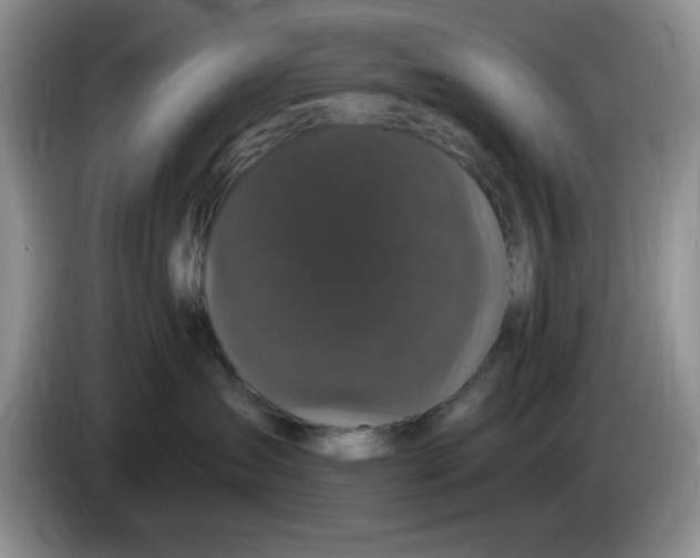 X0000084050431200703092056