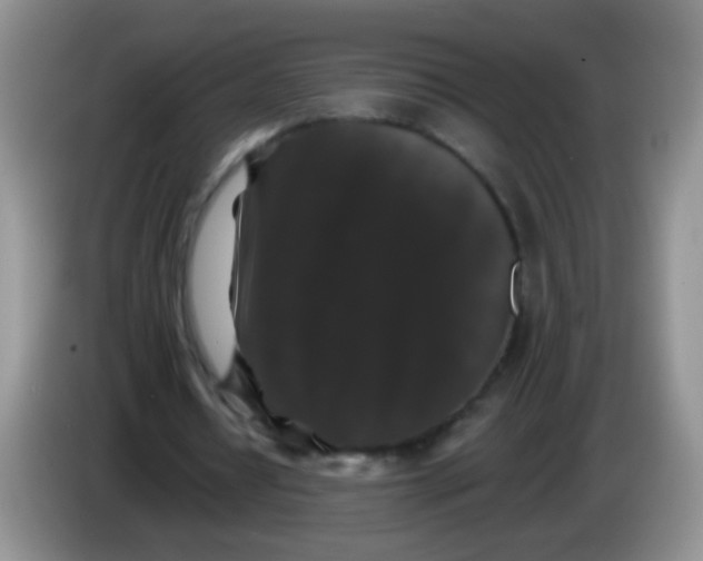 X0000084050434200703092055