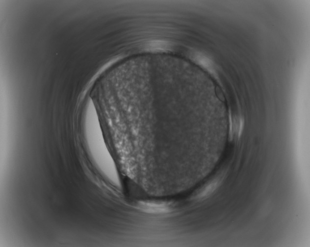 X0000084050435200703092055