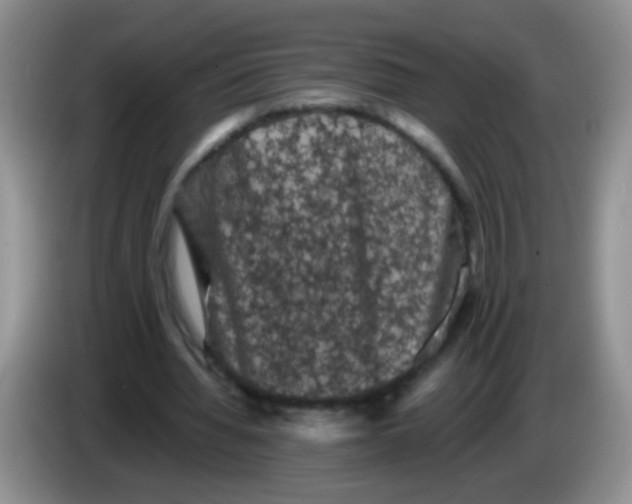 X0000084050436200703092055