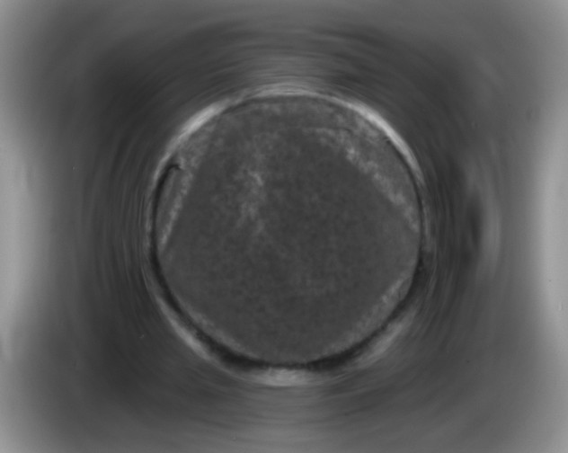 X0000084050437200703092055