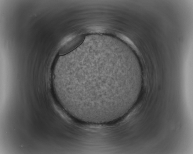 X0000084050439200703092055