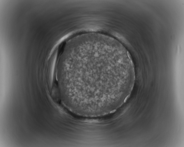 X0000084050440200703092055