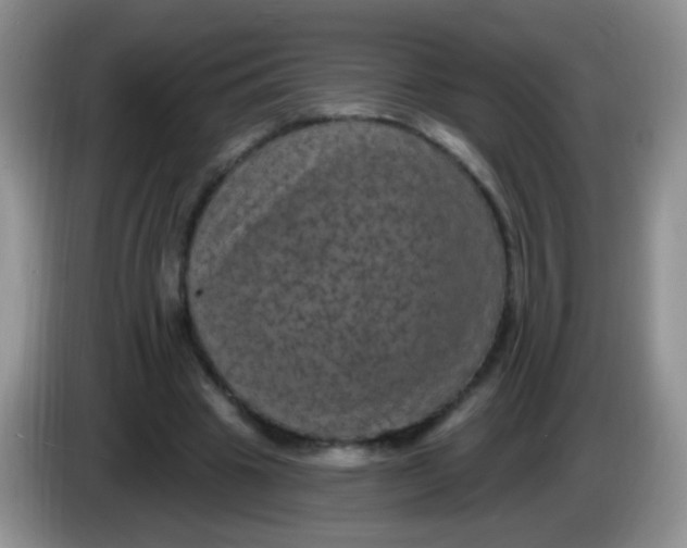 X0000084050441200703092056