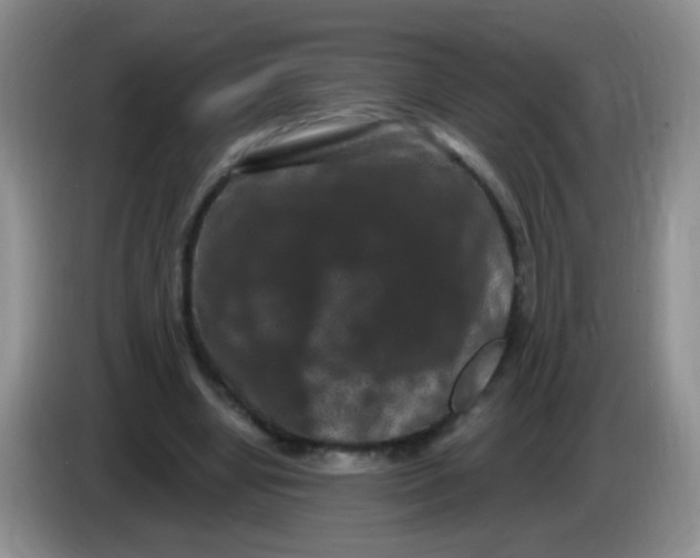 X0000084050442200703092056