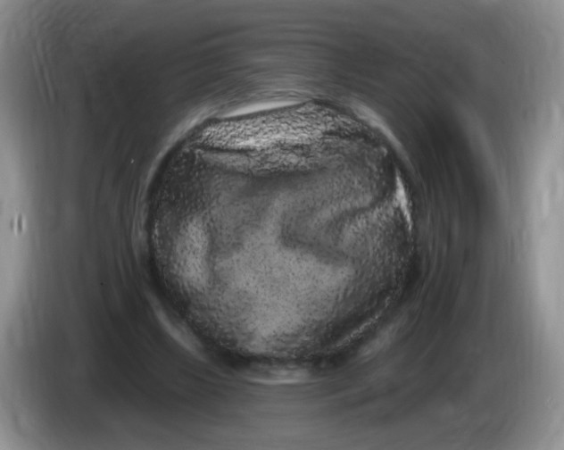 X0000084050443200703092056