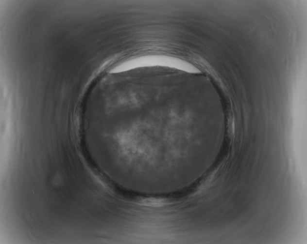 X0000084050444200703092056