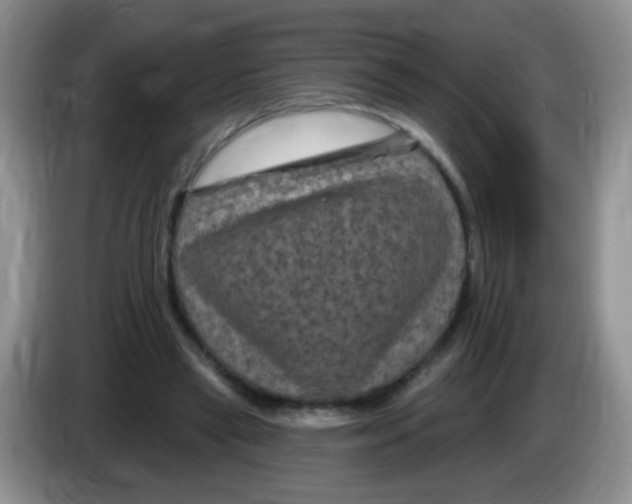 X0000084050445200703092056