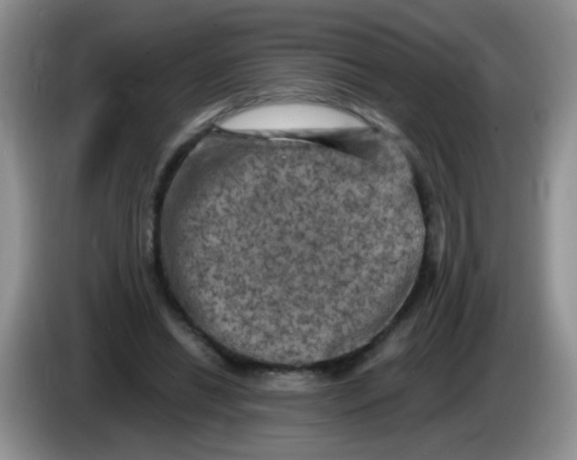 X0000084050446200703092056