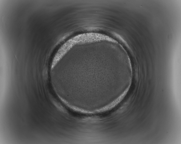 X0000084050447200703092056