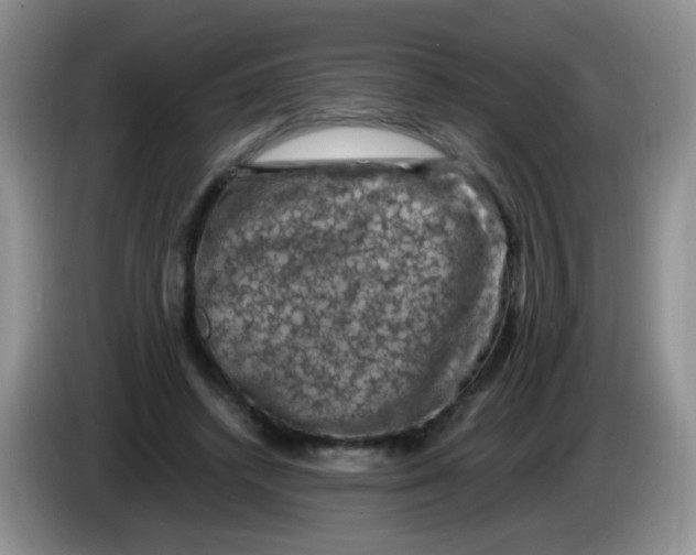 X0000084050448200703092056