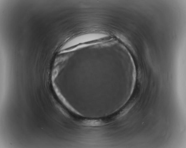 X0000084050449200703092056