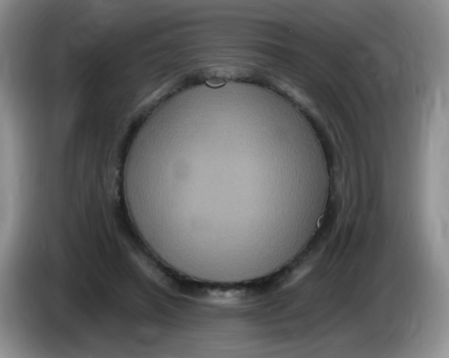 X0000084050450200703092056