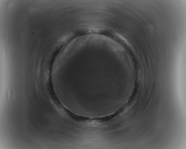 X0000084050451200703092056