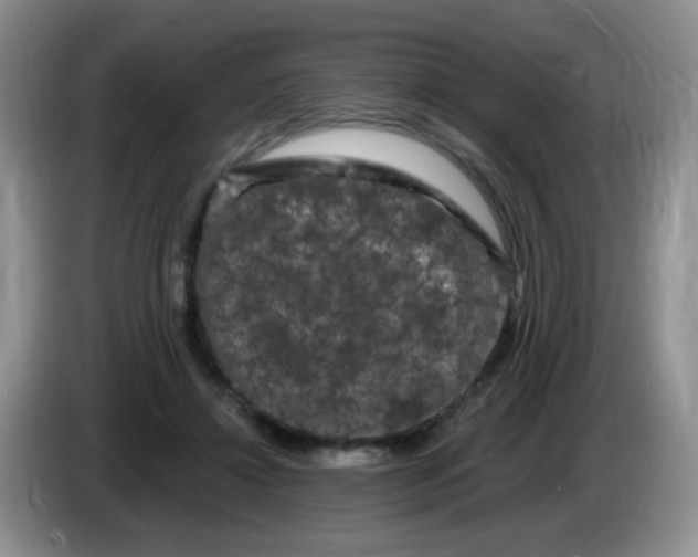 X0000084050452200703092056