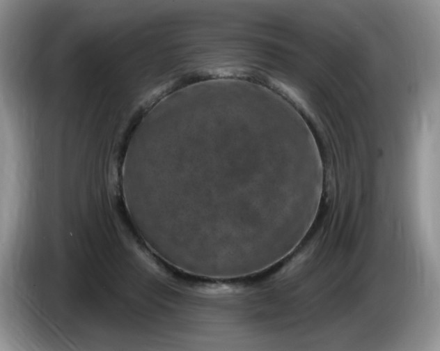 X0000084050453200703092056