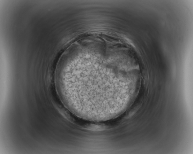 X0000084050455200703092056