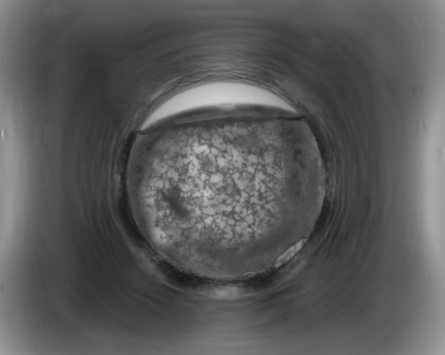 X0000084050456200703092056