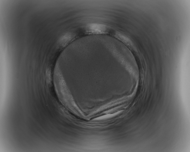 X0000084050457200703092056