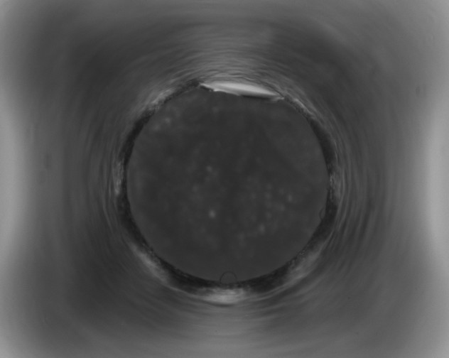 X0000084050458200703092056