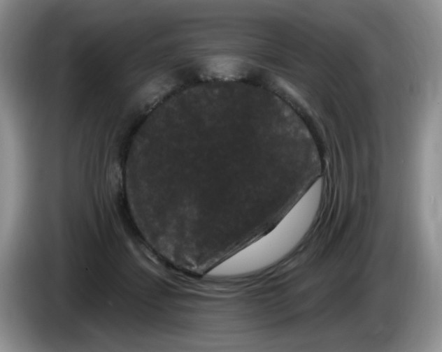 X0000084050459200703092056