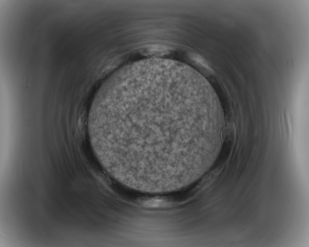 X0000084050460200703092056