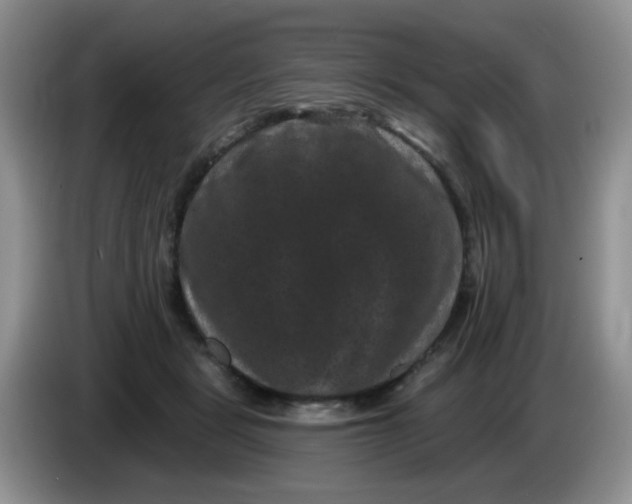 X0000084050461200703092056