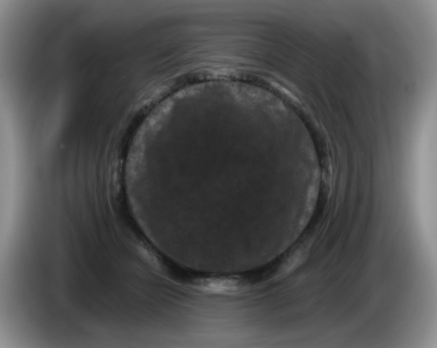 X0000084050462200703092056