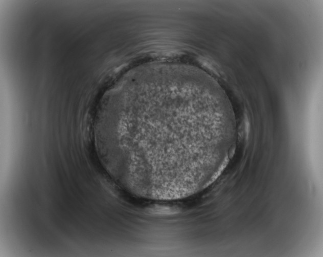 X0000084050464200703092056