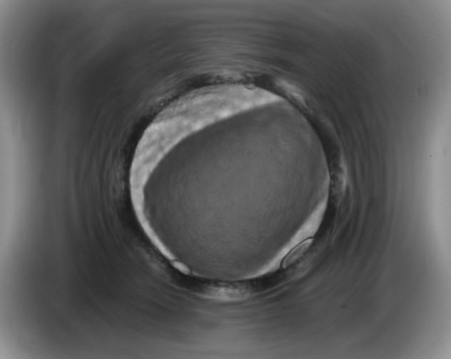 X0000084050466200703092056