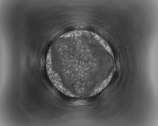 X0000084050468200703092056