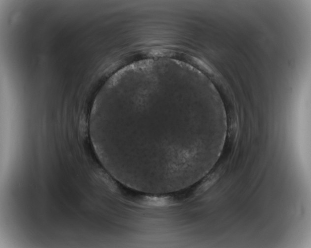 X0000084050469200703092056